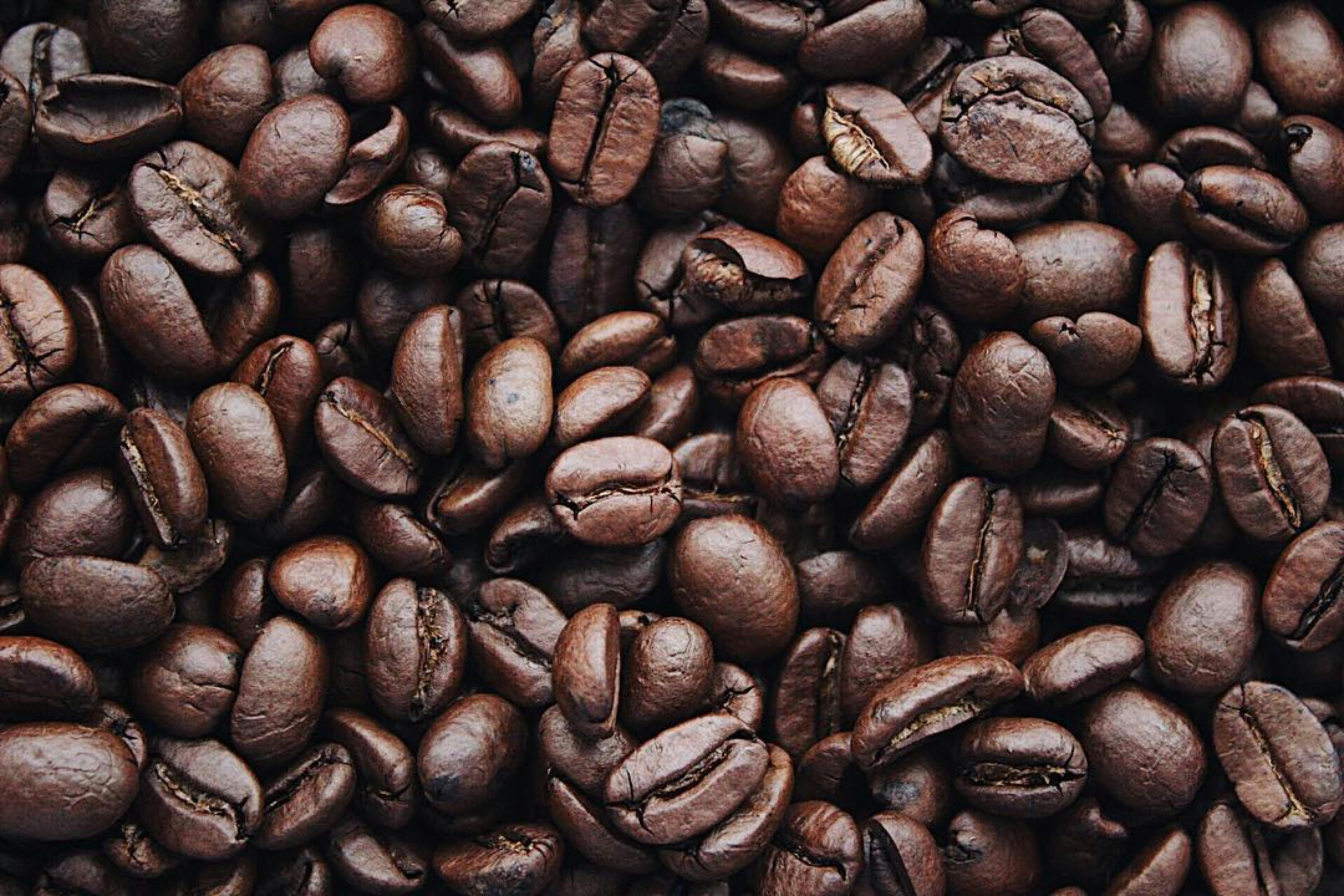 Maximizing Muscle Performance: Why Your Coffee Timing Matters